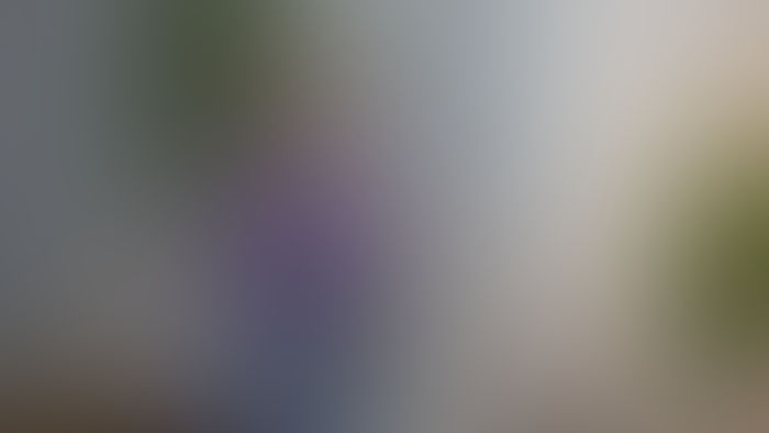  Donna Jackson at Blouse for Sex